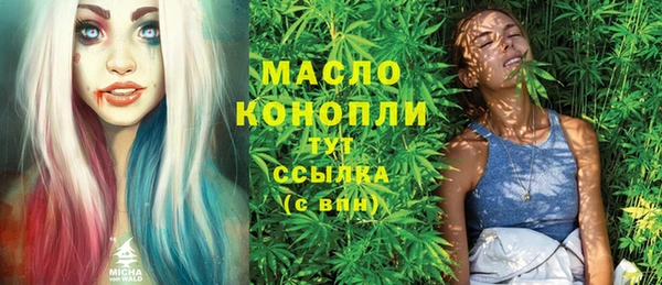 скорость Ельня