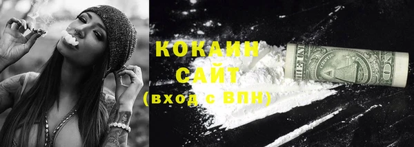 скорость Ельня