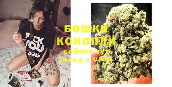 крисы Дмитровск