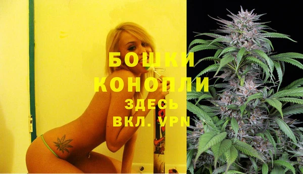 ешки Елабуга