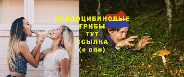 ешки Елабуга