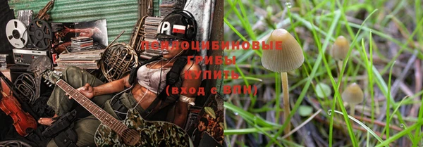 трава Елизово