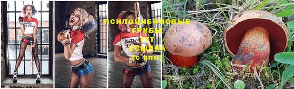 ешки Елабуга