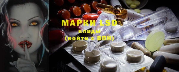 ешки Елабуга