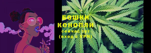 скорость Ельня