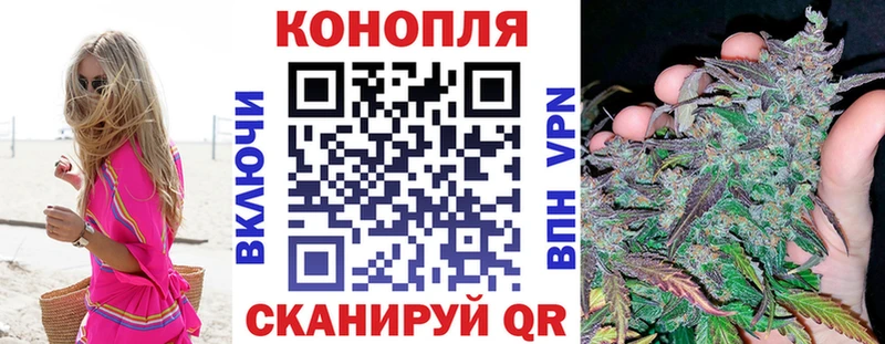 Бошки марихуана OG Kush  Купить  Мензелинск 